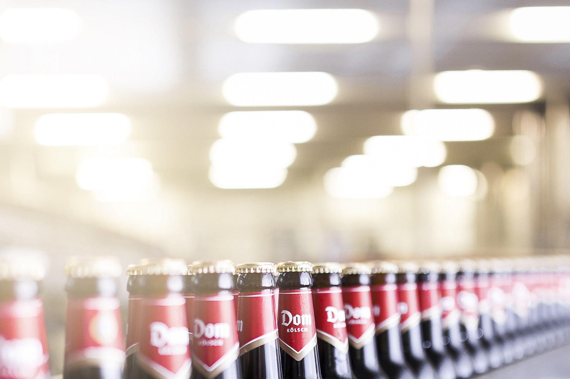 Viele dunkle Glasflaschen stehen in Reihen auf einem Band in hellem Licht.